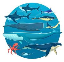 desenho animado mar animais, peixe, baleias, polvo, tubarões vetor