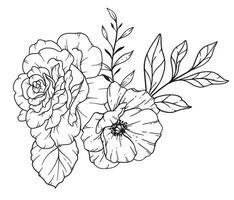 flores silvestres linha desenho. Preto e branco floral buquês. flor coloração página. floral linha arte. bem linha flores silvestres ilustração. mão desenhado flores botânico coloração. Casamento convite flores vetor