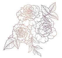 rosa linha desenho. Preto e branco floral buquês. flor coloração página. floral linha arte. bem linha rosa flor ilustração. mão desenhado flores botânico coloração. Casamento convite flores vetor