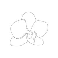 flor de orquídea phalaenopsis contínua de uma linha. flor de estilo moden para logotipo, emblema do ícone ou banner da web. mão desenhada ilustração em vetor estilo minimalismo.