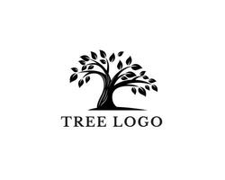 árvore logotipo beleza logotipo carvalho logotipo círculo logotipo vetor