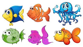 Cinco tipos diferentes de criaturas marinhas vetor