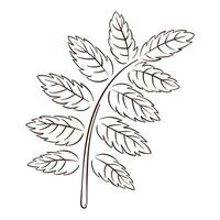 Rowan folha silhueta dentro linha arte estilo. mão desenhado outono folha para logotipo, ícone, imprimir, Projeto. vetor ilustração isolado em uma branco fundo.