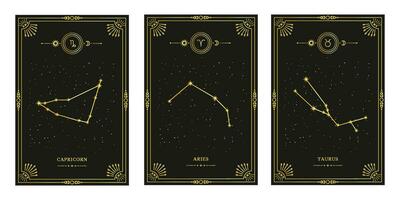 celestial místico zodiacal horóscopo constelações. zodíaco astrologia horóscopo definir. vetor