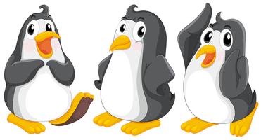 Três pinguins fofos vetor