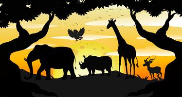 Cena de Safari silhueta ao amanhecer vetor