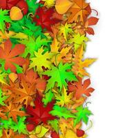 vetor fundo com colorida outono folhas