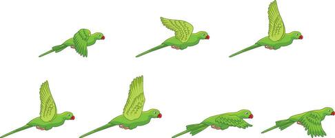 papagaio vôo movimento vetor ilustração