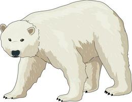 fofa polar Urso caminhando vetor