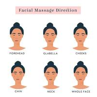 infográfico do facial ioga. massagem direção para natural rosa quartzo pedra raspador, gua sha. mulher retrato para face massagem. acupuntura, elevação anti envelhecimento, ruga removedor beleza método. vetor. vetor