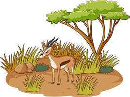 impala em floresta de savana em fundo branco vetor
