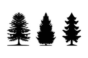 pinho árvore silhueta logotipo abeto árvore vetor ícone coleção.