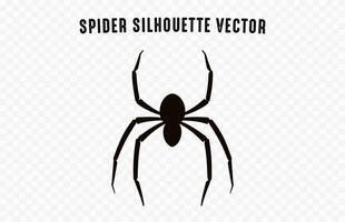 uma aranha vetor Preto silhueta isolado em uma branco fundo
