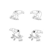 tucano pássaro desenhando linha fofa Preto branco ilustração conjunto coleção vetor
