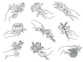 mãos segurando flores esboço fêmea mão com buquês, Oliva filial, peônia, Prado flor para mínimo boho tatuagens. spa floral vetor conjunto