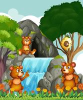 Ursos relaxantes na cachoeira vetor
