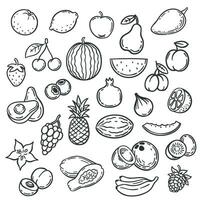 rabisco frutas. mão desenhado esboço baga damasco, banana e pera, cereja. maçã, morango e uva vetor