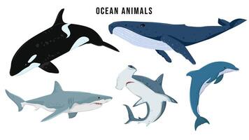 conjunto do oceano animais. Tubarão, baleia, cabeça de martelo Tubarão, golfinho, orca, animais selvagens embaixo da agua animais vetor ilustração