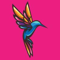 colibri colorida logotipo vetor ilustração