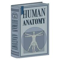 vetor Projeto humano anatomia Faculdade livro, livro com vitruviano homem em a cobrir