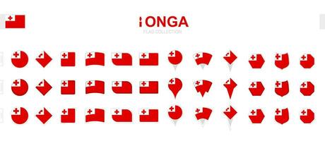 ampla coleção do tonga bandeiras do vários formas e efeitos. vetor