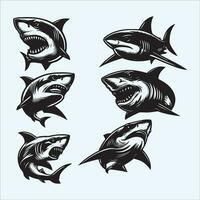 Tubarão vetor conjunto coleção ilustração dentro Preto e branco cores isolado