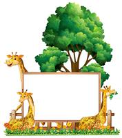Modelo de placa com três girafas no parque vetor