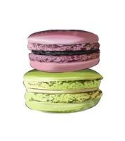 macaron, bolo de macarrão italiano, confeitaria francesa de tintas multicoloridas. respingo de aquarela, desenho colorido, realista. ilustração vetorial de tintas vetor