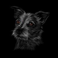 Jack Russell Terrier cabeça retrato em fundo preto. ilustração vetorial de tintas vetor