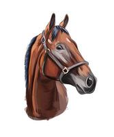 retrato de cabeça de cavalo de tintas multicoloridas. respingo de aquarela, desenho colorido, realista. ilustração vetorial de tintas vetor
