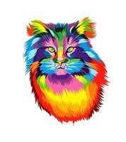 retrato de cara de gato de tintas multicoloridas. respingo de aquarela, desenho colorido, realista. ilustração vetorial de tintas vetor