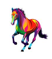 cavalo correndo a galope de tintas multicoloridas. respingo de aquarela, desenho colorido, realista. ilustração vetorial de tintas vetor