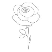 contínuo lindo rosa flores solteiro linha desenhando vetor arte