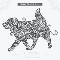 vetor de mandala de cão. elementos decorativos vintage. padrão oriental, ilustração vetorial.