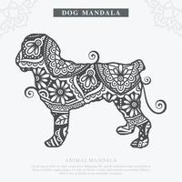 vetor de mandala de cão. elementos decorativos vintage. padrão oriental, ilustração vetorial.