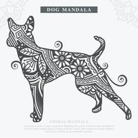 vetor de mandala de cão. elementos decorativos vintage. padrão oriental, ilustração vetorial.