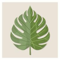 monstera verde folha tropical selva plantar isolado em branco fundo vetor