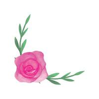 vetor mão desenhado Rosa rosa isolado em branco