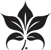 noir pétala crônicas elegante floral icônico desenhos grafite pétala sonhos noir vetor logotipo elementos