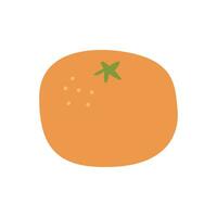 laranja fruta vetor ilustração. desenhado à mão colori rabisco todo tangerina isolado em branco. citrino fruta. suculento cidra.