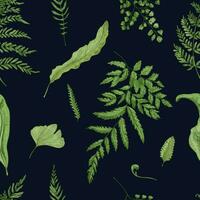samambaia verde folhas em Preto fundo. mão desenhado desatado padronizar com realista plantas. colorida vetor ilustração.