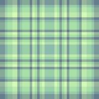 padronizar textura tartan do tecido desatado vetor com uma têxtil fundo xadrez verificar.