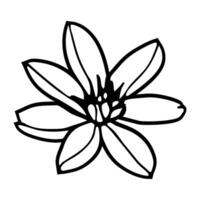 mão desenhado simples flor ilustração vetor