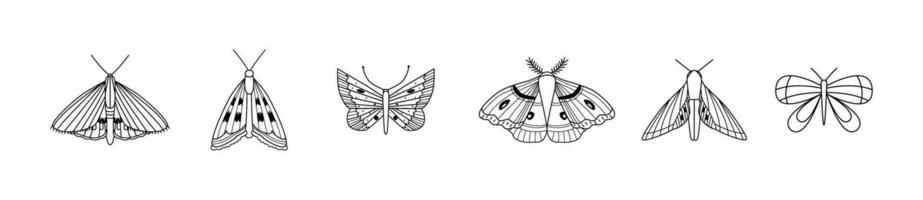 linear borboletas e mariposas. esboço boêmio insetos. rabiscos, ícones. ótimo para impressões, bandeiras, tatuagem. coloração livro. vetor