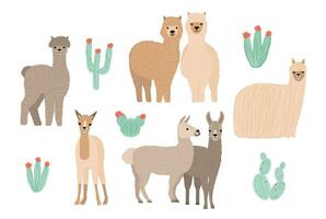 fofa lama, alpaca e cactos definir. mão desenhado desenho animado colorida vetor ilustração