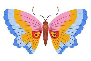 colorida borboleta ícone logotipo isolado. lindo borboleta ilustração vetor