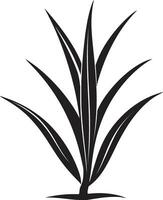 ervas crescimento Preto aloés logotipo ícone orgânico aura aloés vera vetor emblema