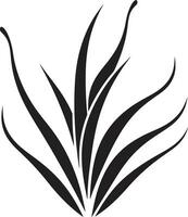 botânico aura aloés vera Preto logotipo símbolo cura toque vetor aloés plantar dentro Preto