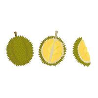 logotipo vetor ilustração do fresco descascado durian fruta