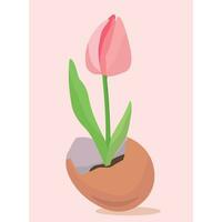 vetor ilustração do a tulipa crescendo dentro a casca de ovo. pastel cores, verde, rosa, bege. Páscoa. para cartões postais, convites, crianças revistas.